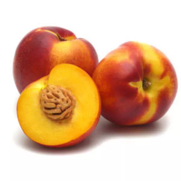 Nectarine