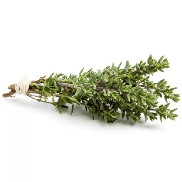 Thym frais