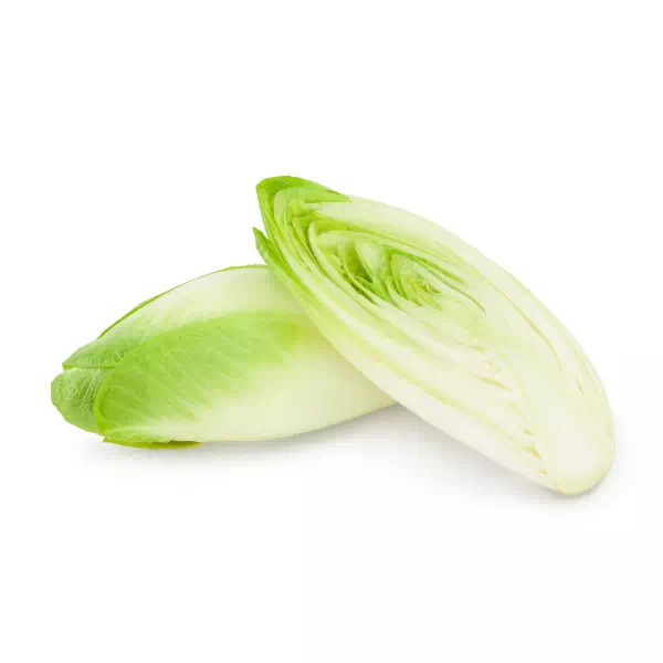 Endive