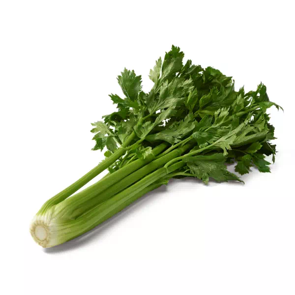 Céleri