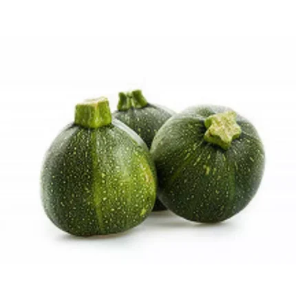 COURGETTE RONDE - كورجيت