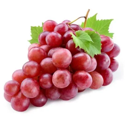 RAISINS ROUGES - عنب أحمر