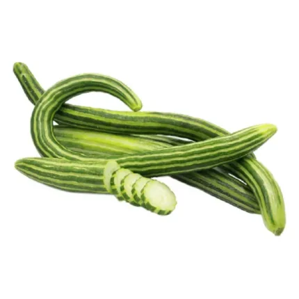 CONCOMBRE FEGGOUS - الفكوس