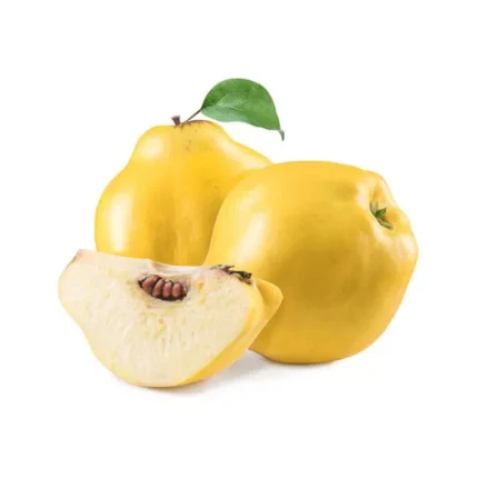 COINGS - سفرجل