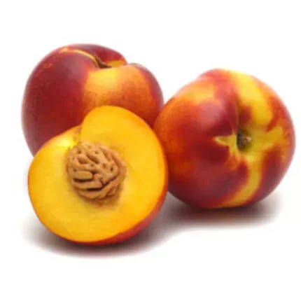 NECTARINE - شهدية