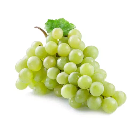 RAISINS VERTS - عنب أخضر