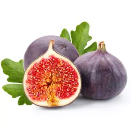 FIGUES NOIRS - كرموس أسود
